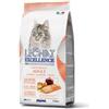 MONGE S.A.S LECHAT EXCELL SECCO ADULT SALMONE 1,5 KILOGRAMMI