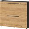 GERMANIA DIE MÖBELMACHER Germania scarpiera 3883-549 GW-Wildomar, in decoro Grafite/Rovere Navarra, con spazio per 8 paia di scarpe, profondità ridotta, ideale per corridoi stretti, 100 x 85 x 19 cm (LxHxP)