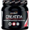 ES ITALIA Srl BRAND ETHICSPORT CREATINA POLV 300G ETICHSPORT