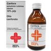 Zeta Farmaceutici Zeta Canfora 10% Soluzione Cutanea Oleosa 100ml