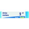 Boiron Arnica Montana 09CH medicinale omeopatico tubo dose 1g