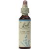 SCHWABE Bach Chicory 20 ml