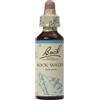 SCHWABE Bach Rock Water 20 ml