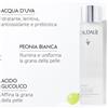 CAUDALIE ITALIA Srl VINOPERFECT ESSENZA GLICOLICA ILLUMINANTE 2023 100 ML