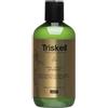 Shampoo Deep Repair botanical treatment