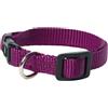 PetUp Collare in nylon regolabile a sgancio PetUp - viola - 20-30 cm x 1,5h cm - 1° ORDINE? scegli lo sconto BZR5 / BZR20 + 200 punti fedeltà