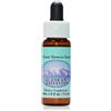 NATUR Ladies Tresses Alaskan Essences 7,4ml