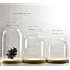 Artlass, campana in vetro dal diametro di 15 cm con vassoio in legno, Vetro, Clear, large