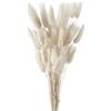 FENGCHUANG 50 Pezzi Decorazione in Erba di Pampas Essiccata Pianta Boho Fiori Secchi Naturali Pampas Decorative per Matrimonio Fiori Boho Decorazione Della Tavola Domestica (Bianco)
