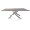 BONTEMPI CASA tavolo con struttura grigio chiaro ARTISTICO 20.01 200x106 cm