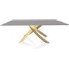 BONTEMPI CASA tavolo con struttura oro ARTISTICO 20.01 200x106 cm