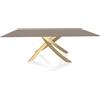 BONTEMPI CASA tavolo con struttura oro ARTISTICO 20.01 200x106 cm