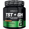 BIOTECH USA TST + GH 300 grammi Arancia
