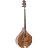 GEWA Irish Bouzouki Pro Arte Antique tutto massello - Concert Bouzouki forma irlandese - Tavola armonica in abete massello e corpo in acero - Finitura antica opaca - 24 tasti - Made in Europe