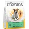 Briantos Adult Mini Agnello & Riso Crocchette per cane - Set %: 8 x 1 kg