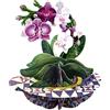 SANTORO Pirouette, Biglietto D'Auguri Pop-Up 3D - Orchidea - Regalo Di Compleanno Per Lei, Mamma, Figlia, Moglie, Fidanzata | Anniversario, Pensando A Te, Biglietto Di Ringraziamento