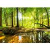 Runa Art Carta da parati fotografica Waldbach 352 x 250 cm Vello Sfondo Murale XXL Moderne Decorazione Soggiorno Camera De Letto Sala Ufficio verde Brown 9141011a