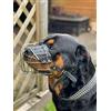 L&J Pets Uk Champion - Museruola per cani in metallo per Rottweiler, mastiff ecc. (R1)