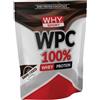 Why Sport Whysport WPC 100% Whey Integratore di Proteine Gusto Dark Choco 1 kg