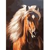 Pracht Creatives Hobby Set di pittura con diamanti, quadro con motivo di cavallo e accessori, dimensioni circa 25 x 35 cm, set da dipingere con pietre glitterate per bambini a partire dai 5 anni di età
