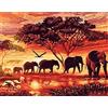 Pracht Creatives Hobby Set di pittura con diamanti, quadro con motivo di elefanti nella savana e accessori, dimensioni circa 44 x 33 cm, set da dipingere con pietre glitterate per bambini a partire dai 5 anni di età