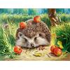 Pracht Creatives Hobby Set di pittura con diamanti, quadro con motivo riccio e accessori, dimensioni circa 25 x 35 cm, set di artigianato per dipingere con pietre glitterate per bambini dai 5 anni in su