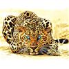 Pracht Creatives Hobby Set di Pittura con Diamanti, Quadro con Motivo Leopardo e Accessori, Dimensioni ca. 35 x 25 cm, Set da dipingere con Pietre Glitterate per Bambini dai 5 Anni in su