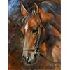 Pracht Creatives Hobby Set di pittura con diamanti, quadro con motivo testa di cavallo e accessori, dimensioni ca. 25 x 35 cm, set da dipingere con pietre glitterate per bambini a partire dai 5 anni di età