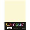 Risma Carta Copytinta 100 fogli colorati A4 210x297mm 200g/mq Avorio