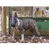 CHAMPION Museruola in pelle leggera per cani Bull Terrier e altri muso simili (BU3 - L)