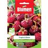 Blumen fragola di bosco
