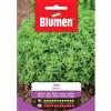 Blumen basilico nano
