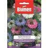 Blumen Nigella damasco