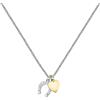 Morellato Passioni collana Donna Capsule Collection in Acciaio, Cristalli - SAUN20