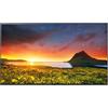 LG ELECTRONICS LG UR762H (MEA) 190,5 cm (75") 4K Ultra HD 330 cd/m² Smart TV Nero 20 W