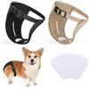 INSPUTOL Confezione da 2 pantaloni per cani, pannolini per cani con 6 assorbenti igienici, pantaloni protettivi regolabili per cani femmine in calore, sanguinamento mensile, cagnolino (M)