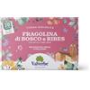 Valverbe Tisane Fragolina di Bosco e Ribes Biologico 20 Filtri - Pacco da 6 - 180 g