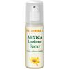 NATURWAREN ITALIA Srl Arnica Lozione Spray Dr.Theiss 100ml