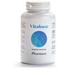 Pharmacé VITABASE 300 G