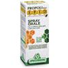 Specchiasol EPID Spray Orale con Aloe Vera 15 ml