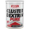 WHY sport Cluster Dextrin Pure 500 gr