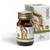 ABOCA SpA SOCIETA' AGRICOLA GINSENG CONCENTRATO TOTALE 50 OPERCOLI