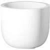 Serralunga Cup L 447 Vaso