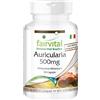 Fairvital | Auricularia 500mg - 1 mese - VEGAN - alto dosaggio - 90 capsule -polvere di funghi