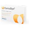 Curcudyn Metagenics Curcudyn Integratore per il Benessere di Articolazioni, Cartilagini, Tendini 60 Capsule