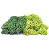 Hornby- Lichen-Large Green Mix Acessories-Kit Persone & Scala Automatica, Multicolore, R7195, 21 x 3 x 15 cm
