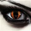 DESIGNLENSES, Lenti a contatto colorate arancia, occhi di gatto per costume di Halloween, senza gradazione, 1 paio (2 pezzi), lentes cosmetiche colore + custodia per lenti Orange Dragon