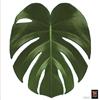 PLAGE 260212 Adesivo WC Sticker Smooth, Tropicale, 37.7 x 32 cm