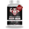 TRICO HAIR ITALY Miglior testosterone sesso uomo aumento libido maca tribulus terrestris puro alto dosaggio 150 Caps black maca Peruviana zinco Ashwagandha L arginina. Stimolante Energia Forza e Massa Booster