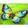 Pracht Creatives Hobby Set per dipingere con Diamanti, Quadro con Motivo di Farfalla e Accessori, Dimensioni Circa 35 x 25 cm, Set per dipingere con Pietre Glitterate per Bambini dai 5 Anni in su